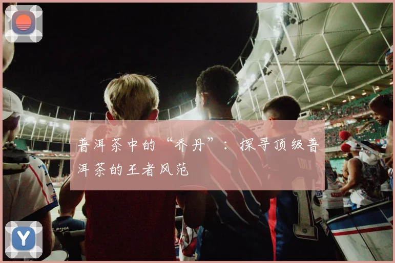 普洱茶中的“乔丹”：探寻顶级普洱茶的王者风范