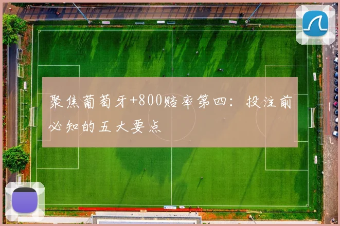聚焦葡萄牙+800赔率第四：投注前必知的五大要点