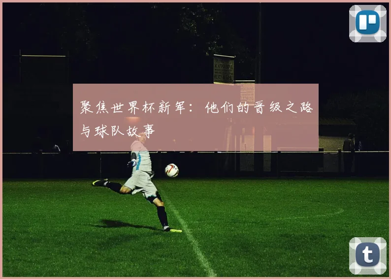 聚焦世界杯新军：他们的晋级之路与球队故事
