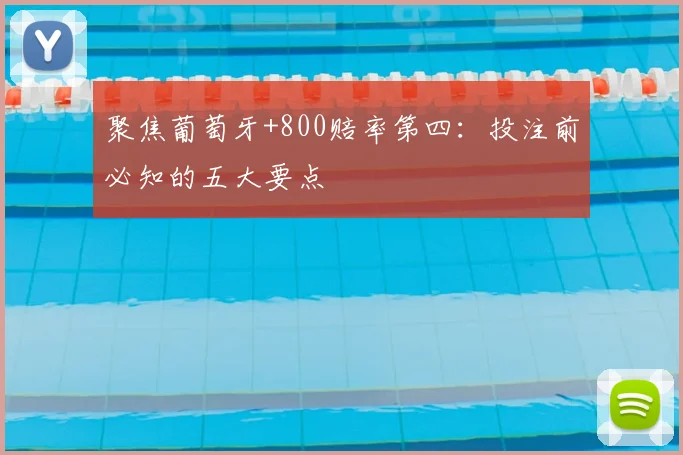 聚焦葡萄牙+800赔率第四：投注前必知的五大要点