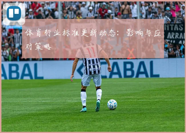 体育行业标准更新动态：影响与应对策略