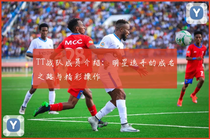 TT战队成员介绍：明星选手的成名之路与精彩操作
