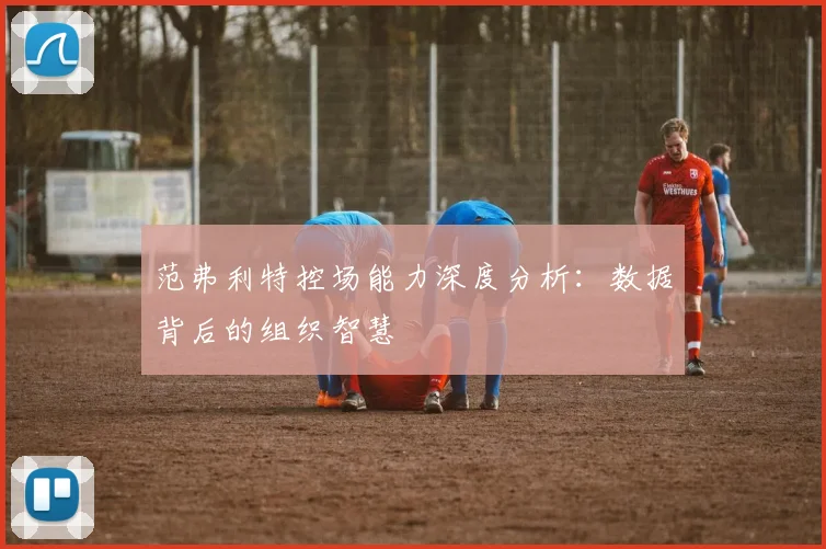 范弗利特控场能力深度分析：数据背后的组织智慧