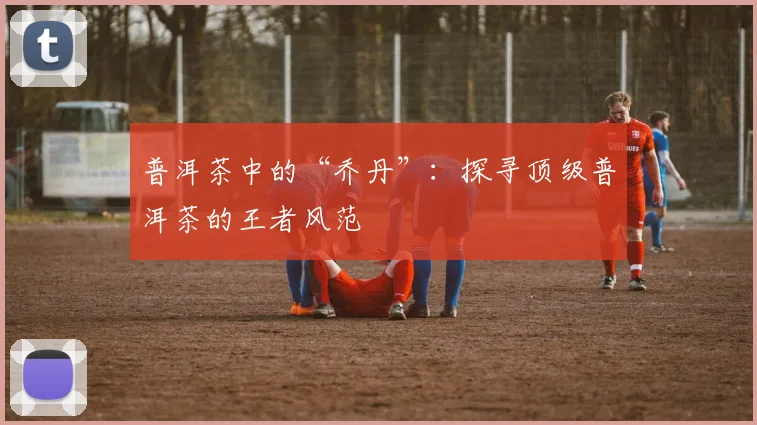 普洱茶中的“乔丹”：探寻顶级普洱茶的王者风范